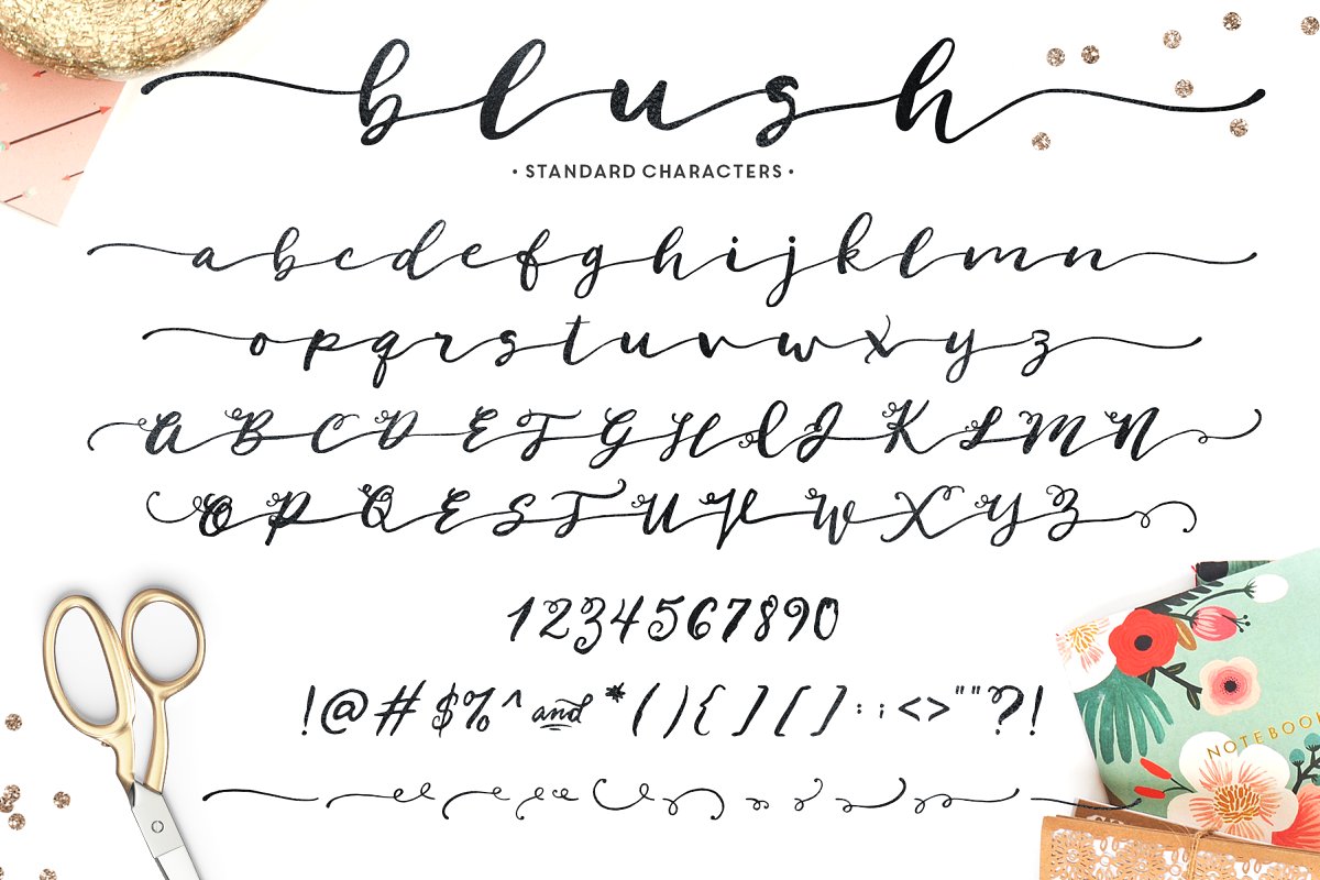 时尚手写字体 Blush Typeface #489548