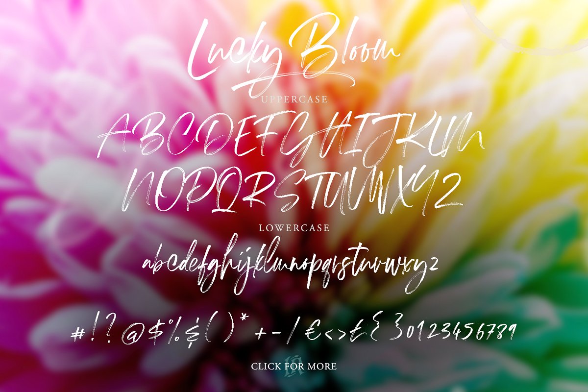 手写草书字体 Lucky Bloom SVG Font #2
