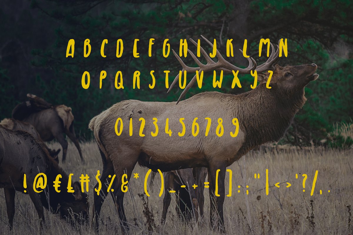 皇家麋鹿手写字体 Royal Elk Font #79332