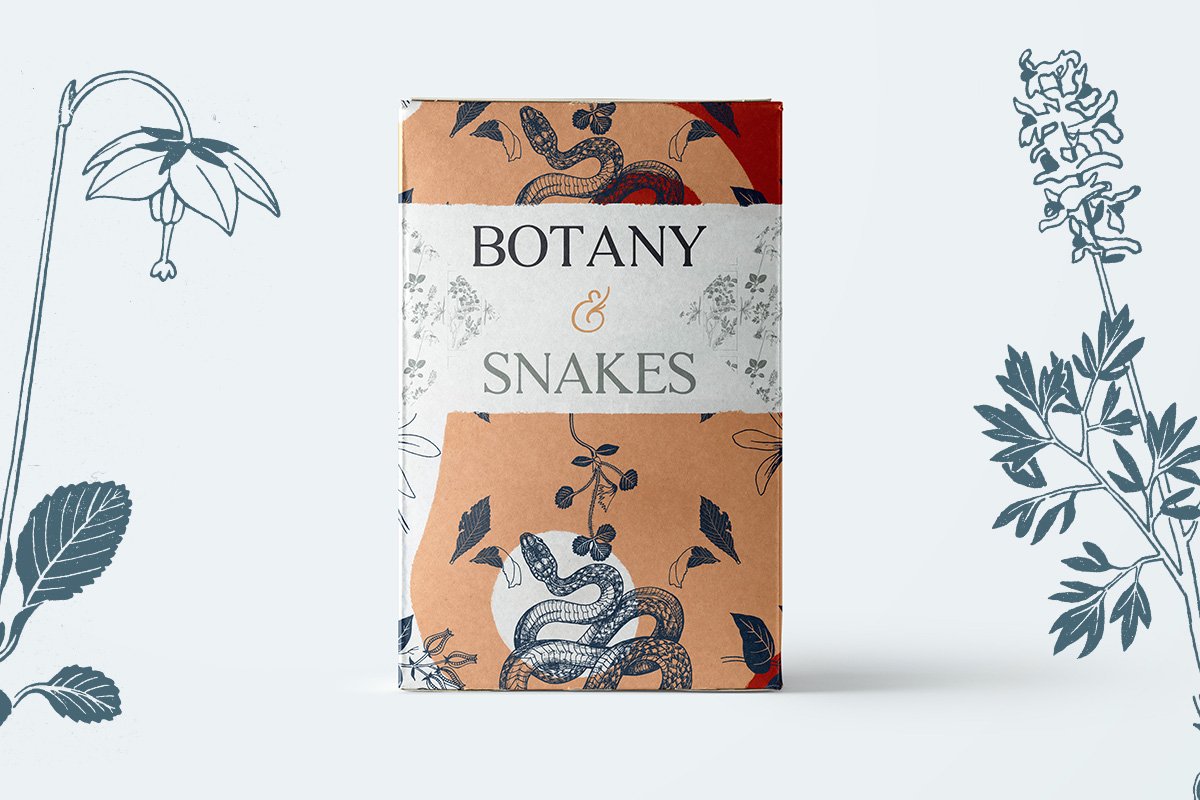 精心手绘的复古植物和蛇高端素食有机品牌素材合集 Botany