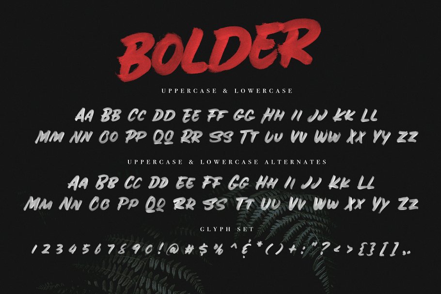 粗体笔刷字体 BOLDER Smallcaps SVG Br