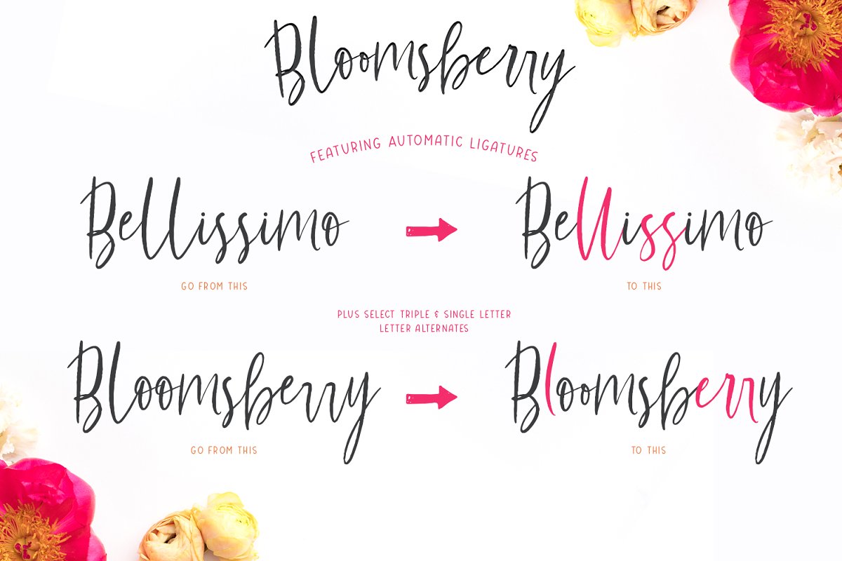 时髦的手写字体 Bloomsberry Type Graph