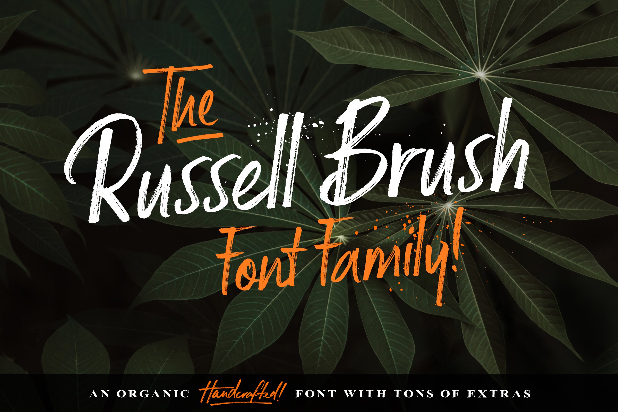 笔刷手写字体 Russell Brush Script Fo