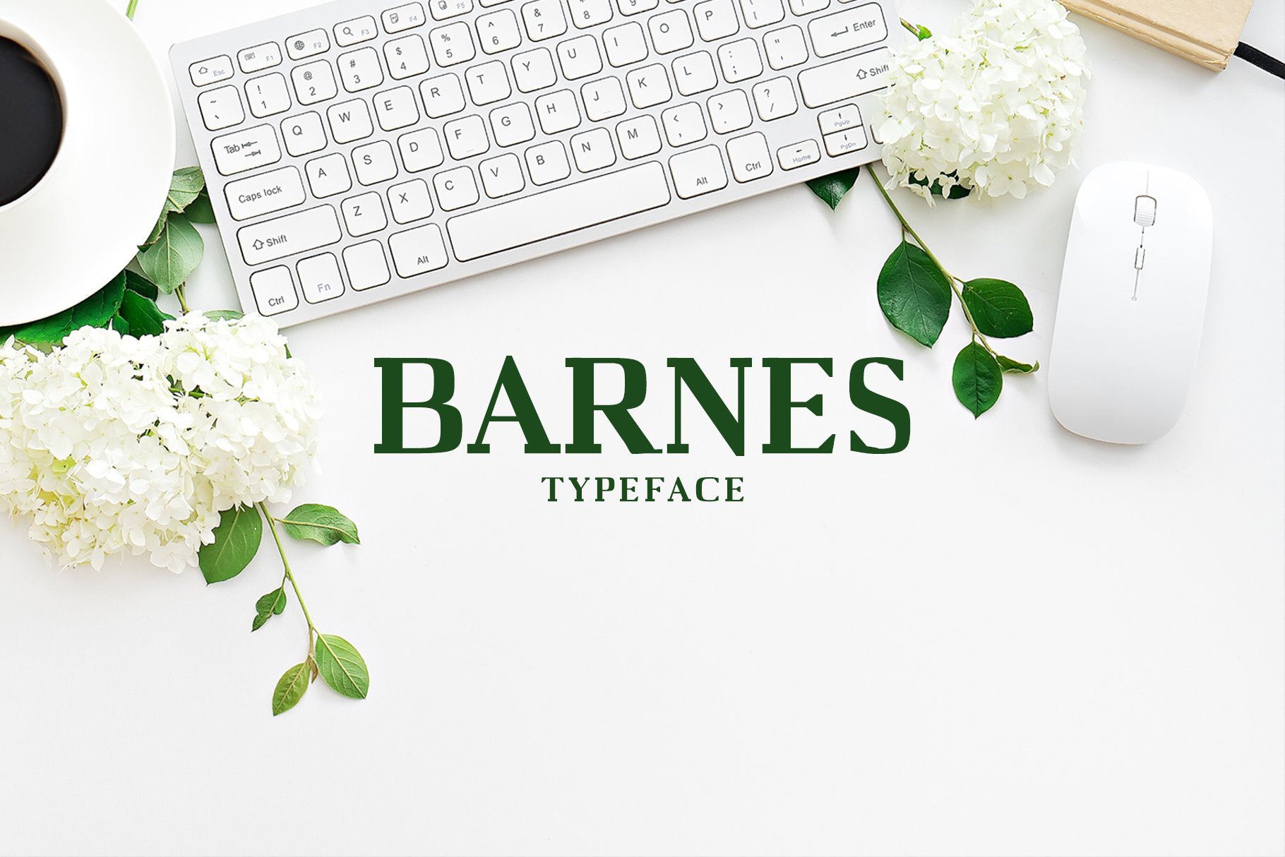 优雅的字体 Barnes Serif 7 Font Fami