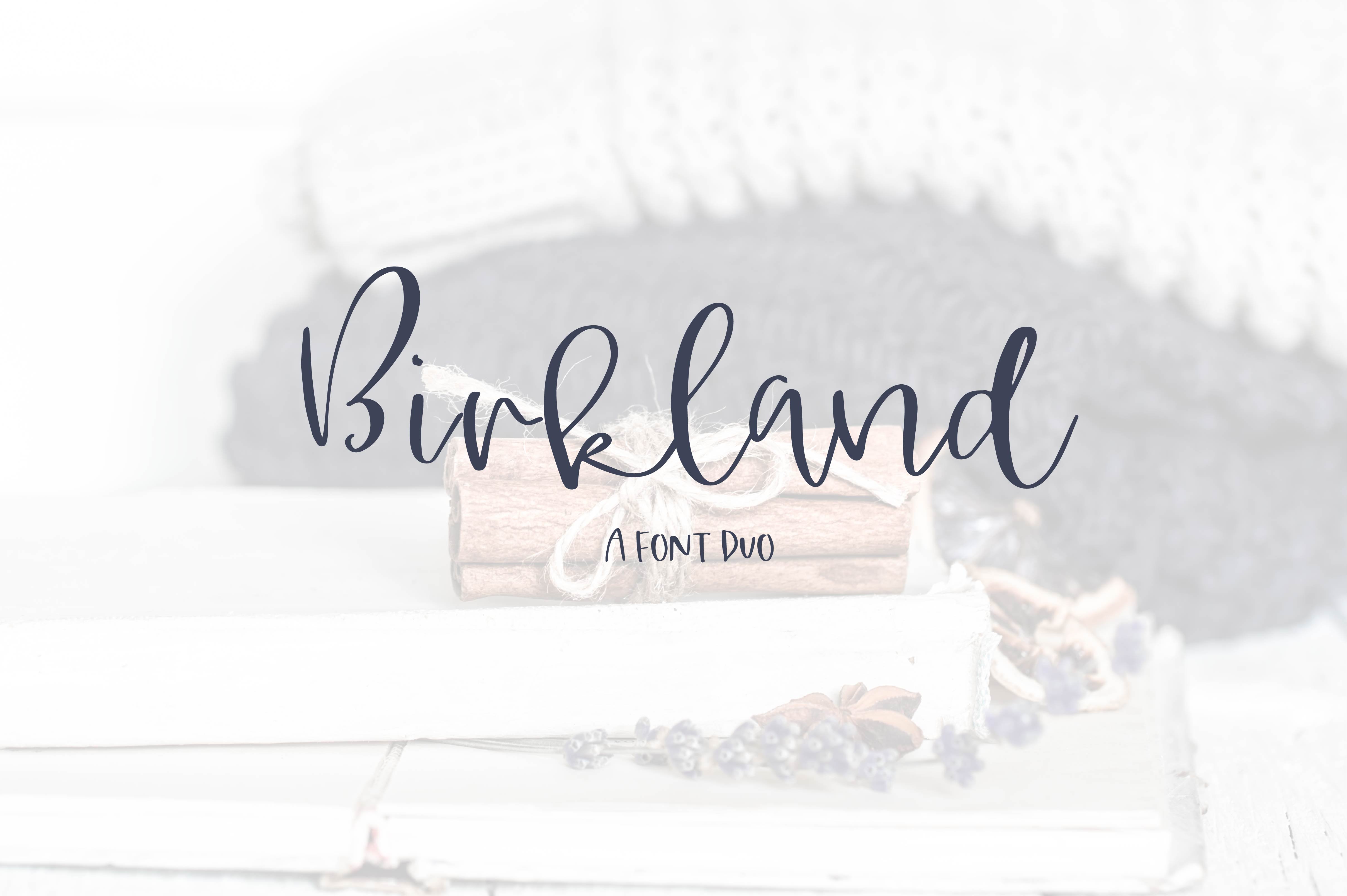 轻快手写字体 Birkland – A Font Duo #