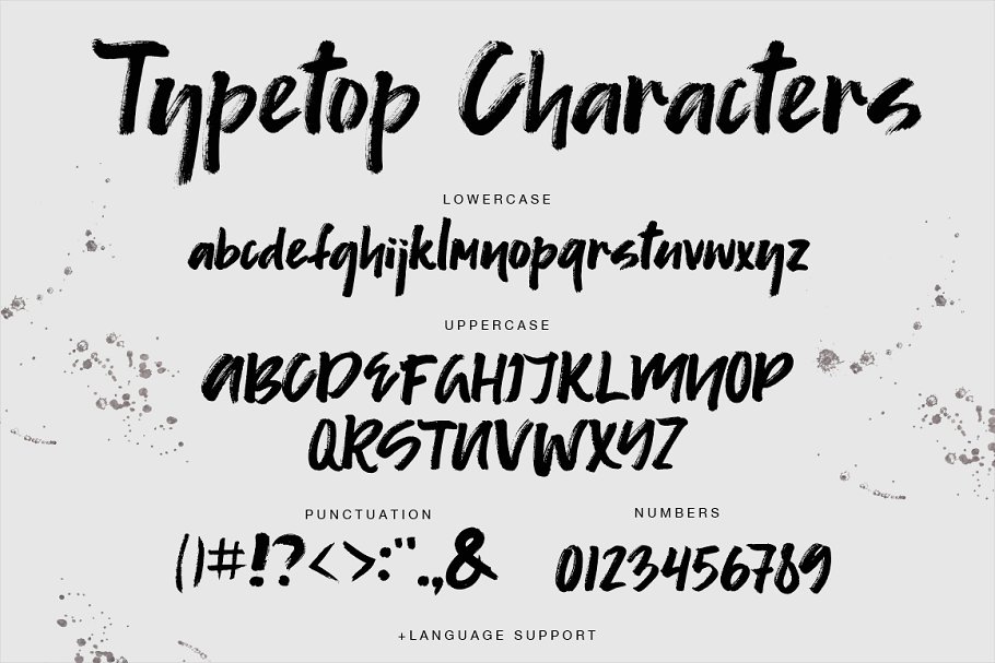 手绘大气书法英文字体 Typetop Font #12055