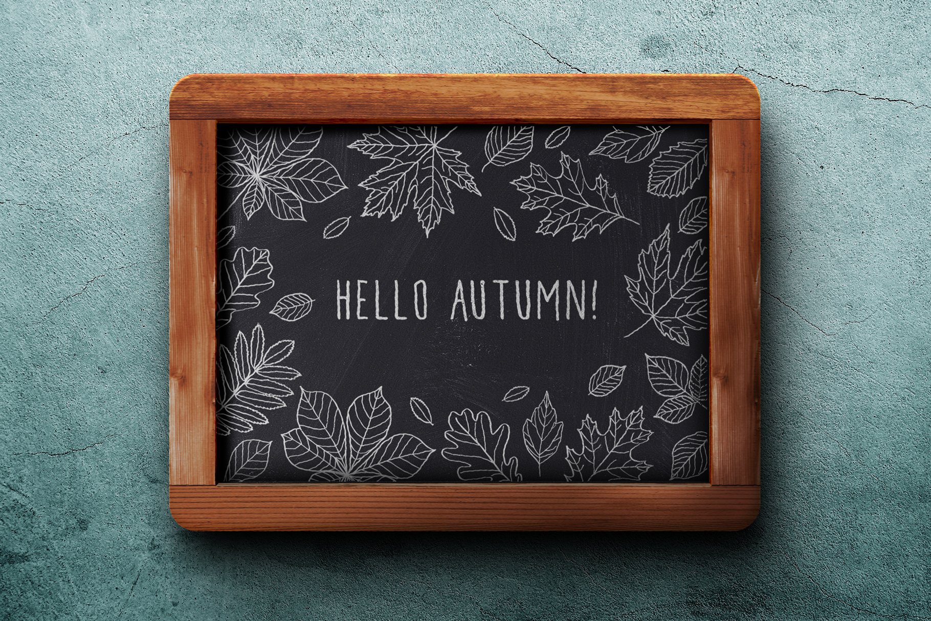 Hello autumn! 秋季手工素描树叶插画素材合集 H