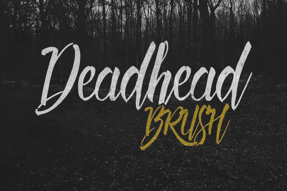 流畅的手写字体 Deadhead Brush #185582