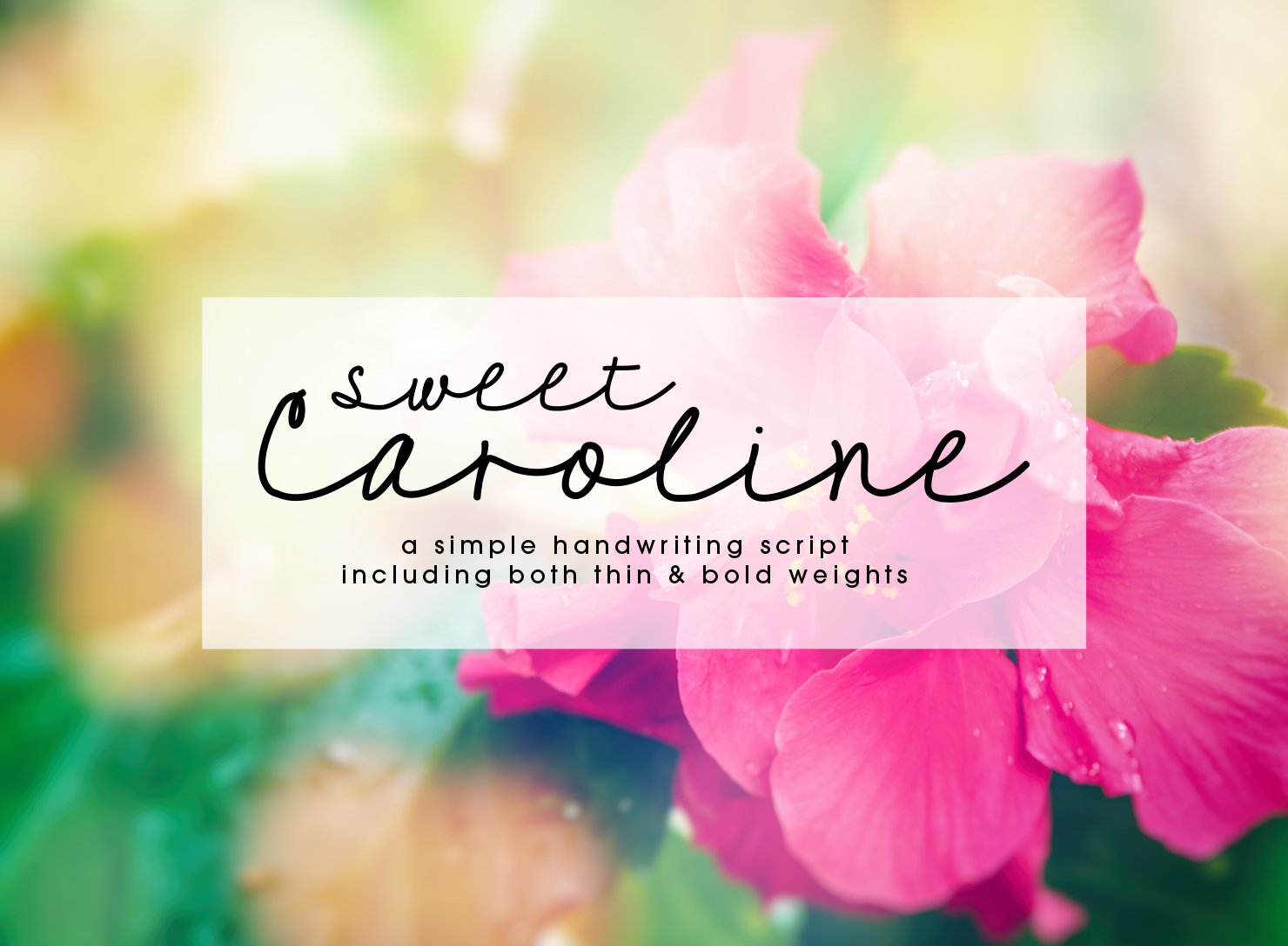 甜美的手绘字体 Sweet Caroline #130893