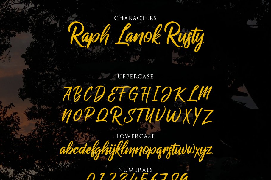 大气手写字体 Raph Lanok Typeface #16