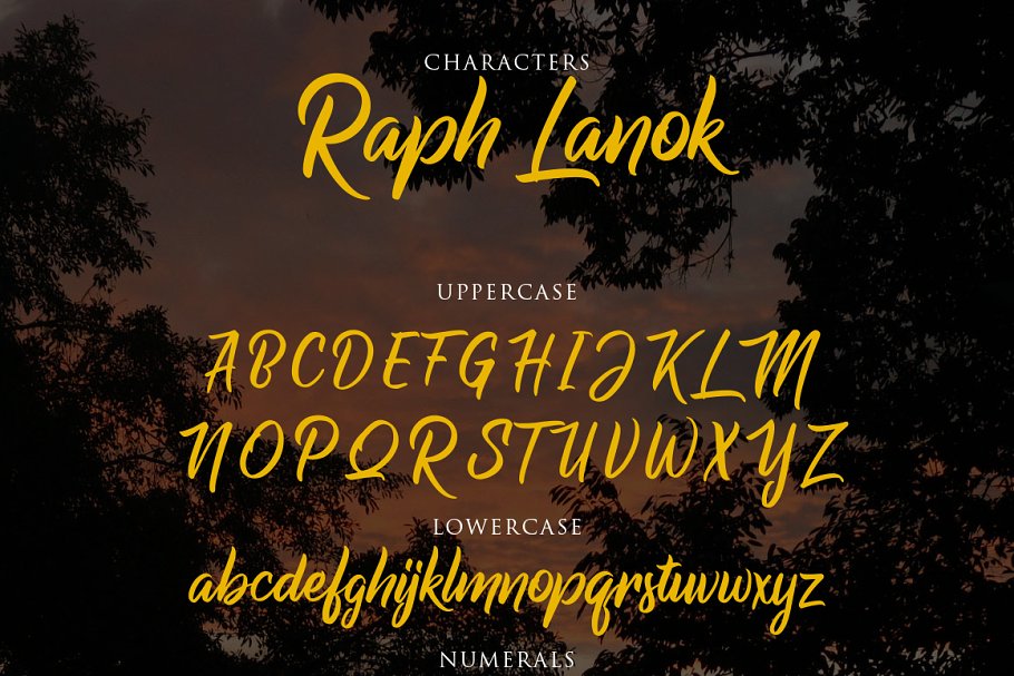 大气手写字体 Raph Lanok Typeface #16