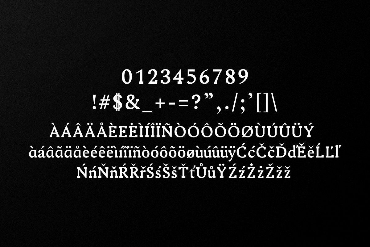 衬线字体 Ireene Serif 3 Font Famil