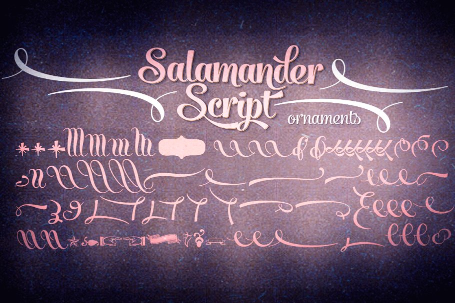 大气的手绘字体 Salamander Script #202
