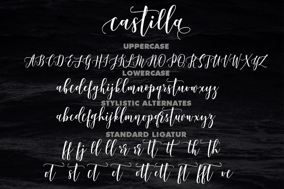 流畅的手绘字体 Castilla Script #13859