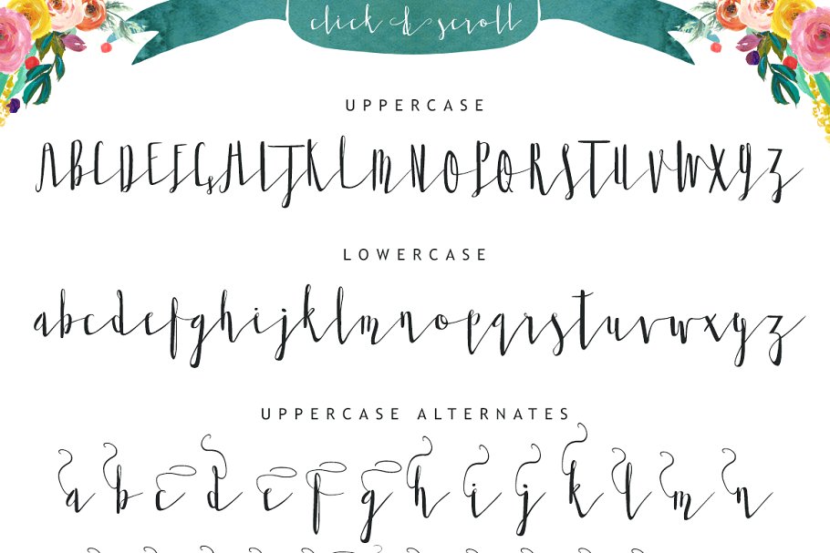个性手写字体 Twisted Willow Typeface