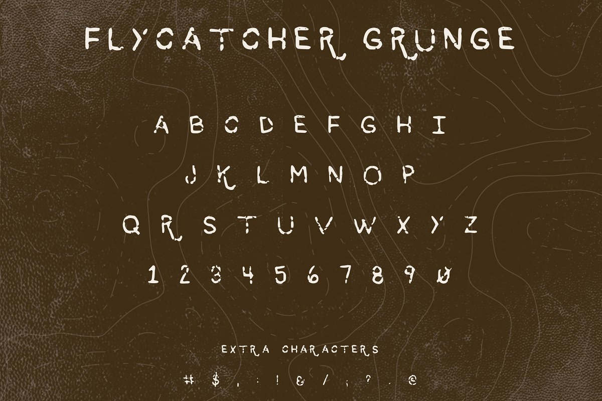 怀旧风格的字体 Flycatcher Font #18612