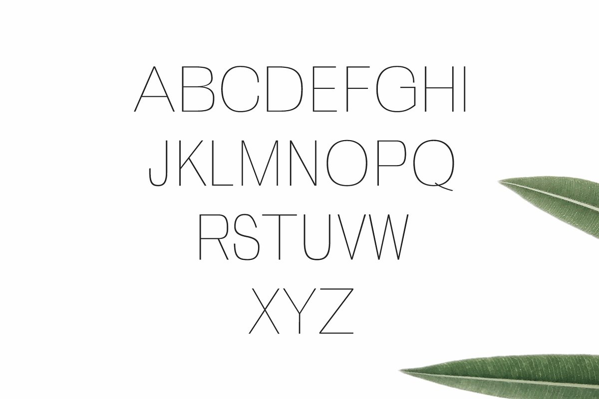 优雅纤细时尚的字体 Zevida Sans Serif Fo