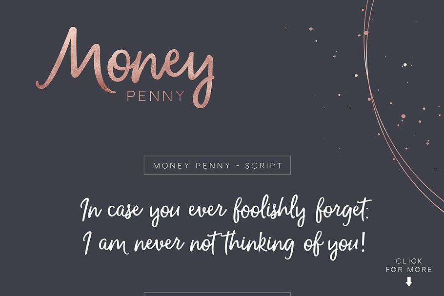 优雅高贵的手写体 Money Penny Script Sa