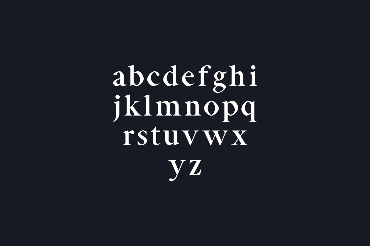 经典漂亮的衬线字体 Aara Serif 9 Font Fa
