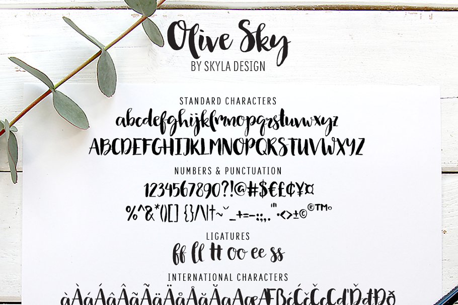 厚重的手写字体 Olive Sky, Modern brus