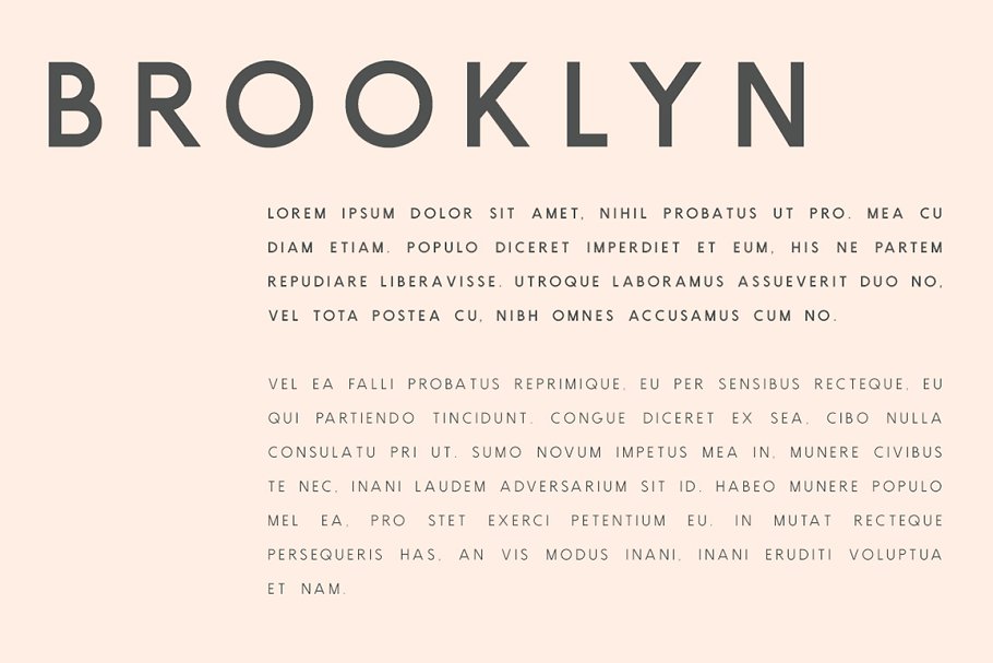 正体适合书面印刷排版的无衬线英文字体 Brooklyn  T