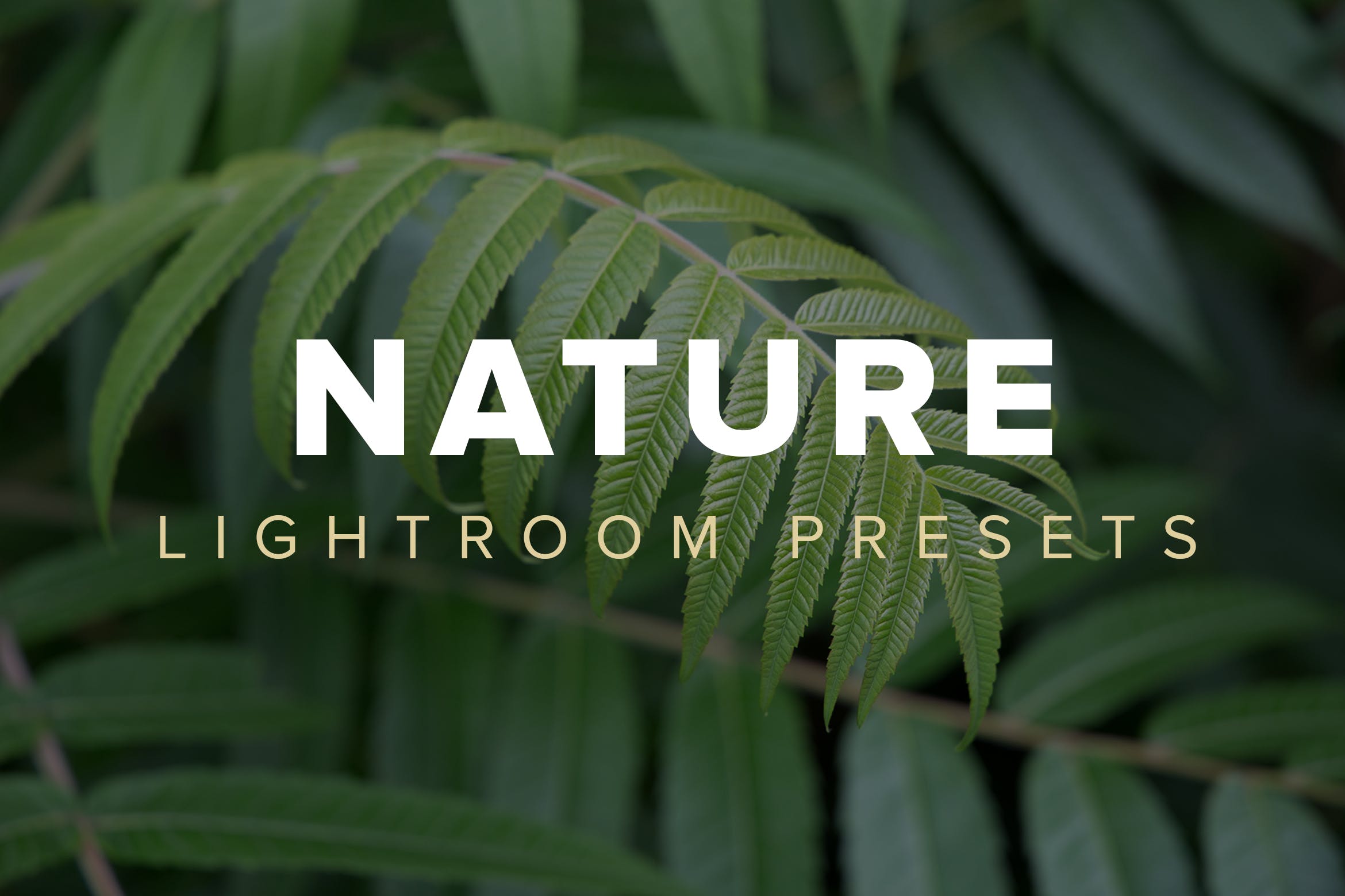 风景滤镜lightroom预设nature-lightroo