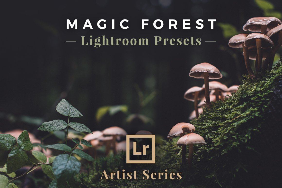 魔幻效果的LR预设文件 Magic Forest, Ligh