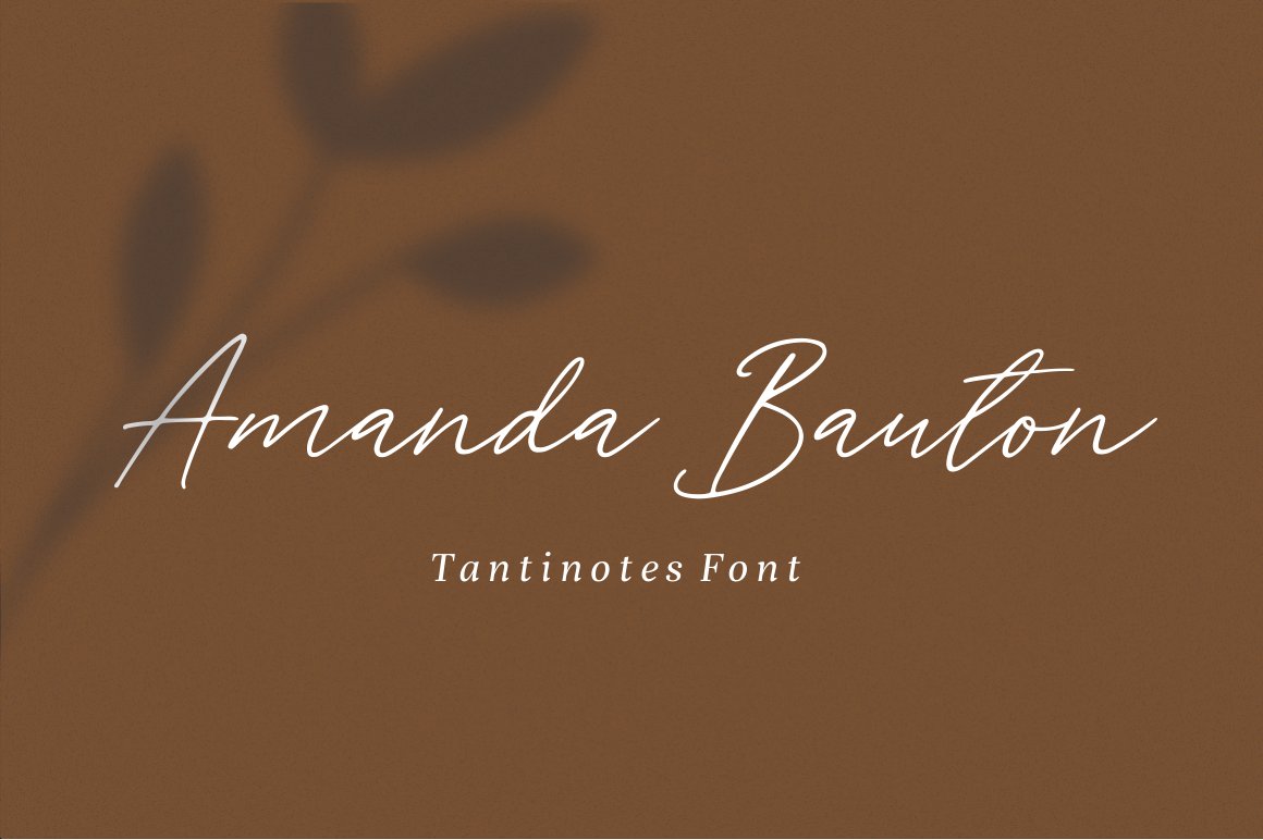 手绘签名英文字体 Tantinotes - Handwrit