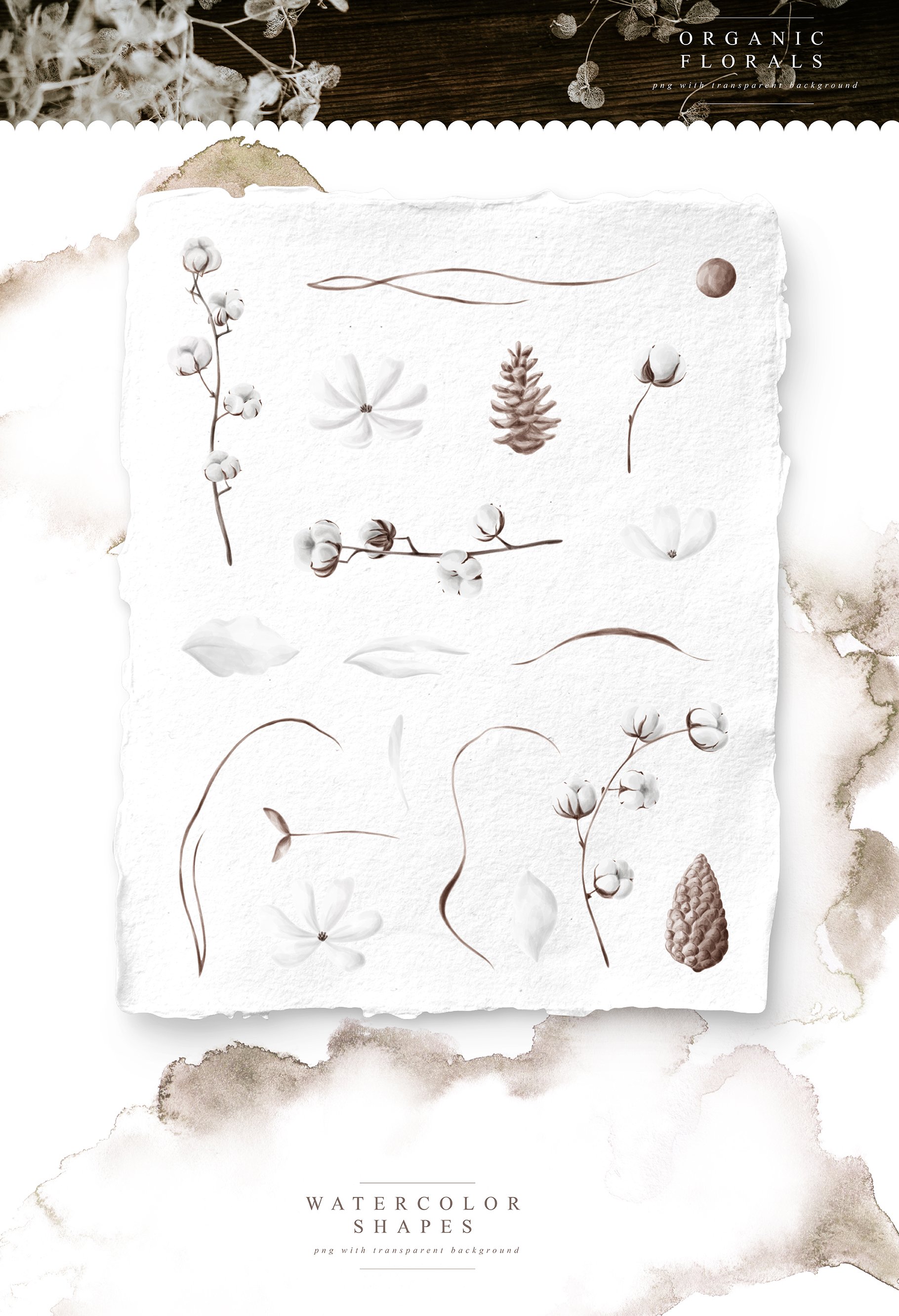 全套女性婚礼品牌元素手绘花卉植物纹理图案素材合集包 Tren