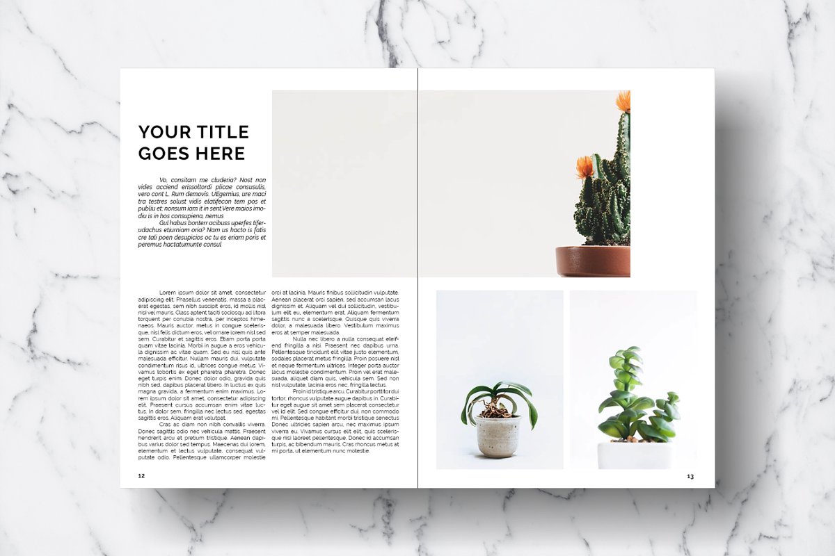 家居植物室内设计图册模板 Magazine Template
