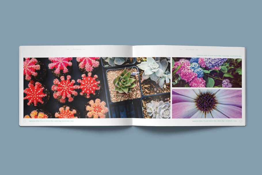 横版画册排版模板 Floral Brochure