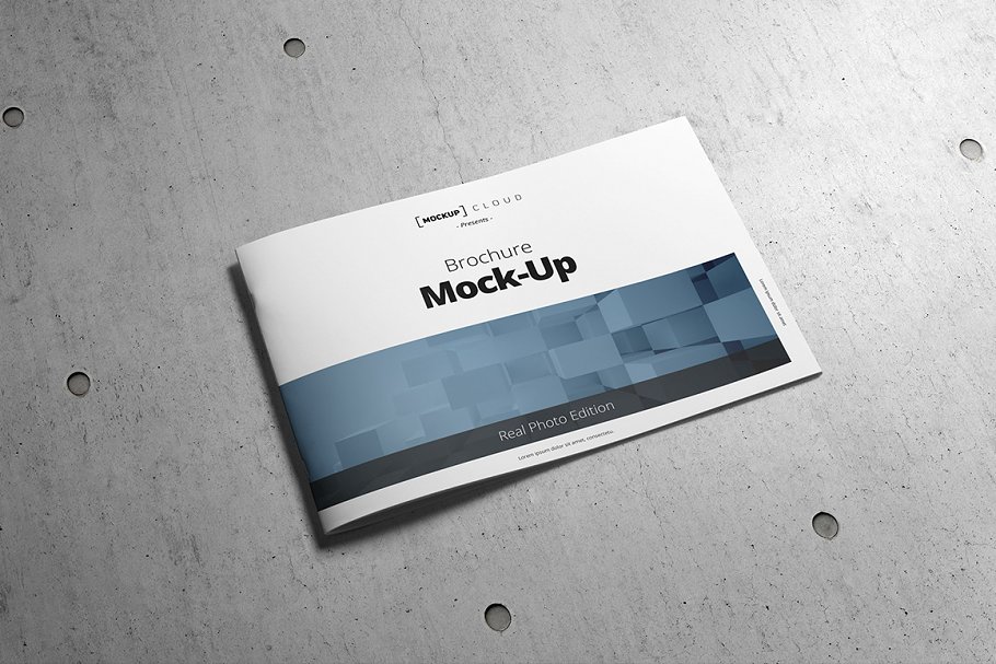 产品宣传册模型 Brochure Mock-Up A4 La