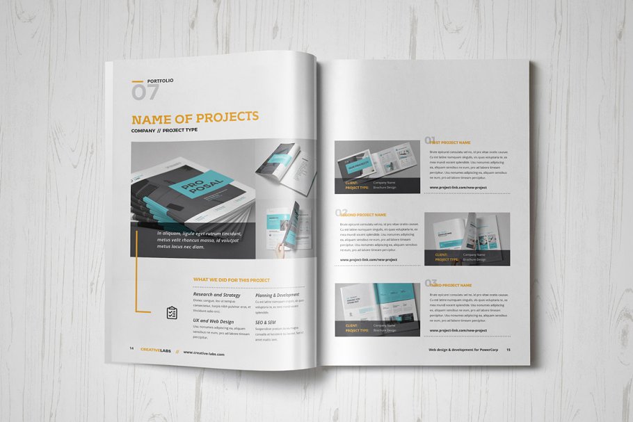 项目画册手册设计模板 Proposal 1490207