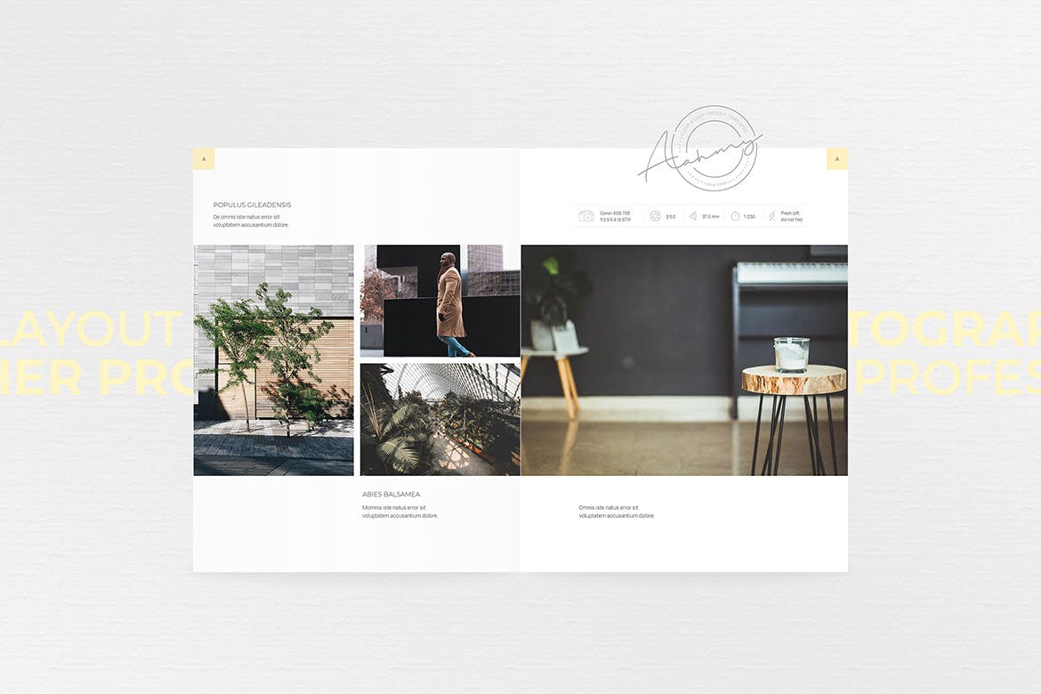 清新简约的摄影画册/杂志/设计品牌手册设计模板simple-