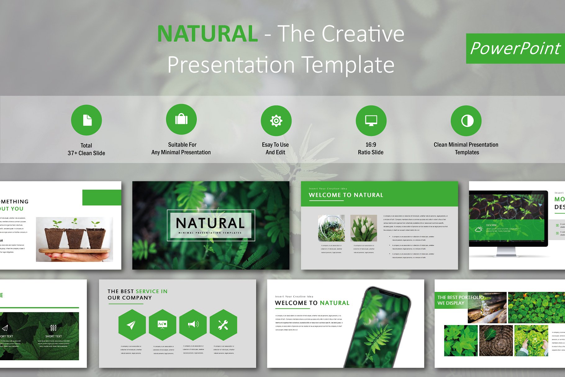 绿色自然创意现代风格PPT模板Natural Creativ