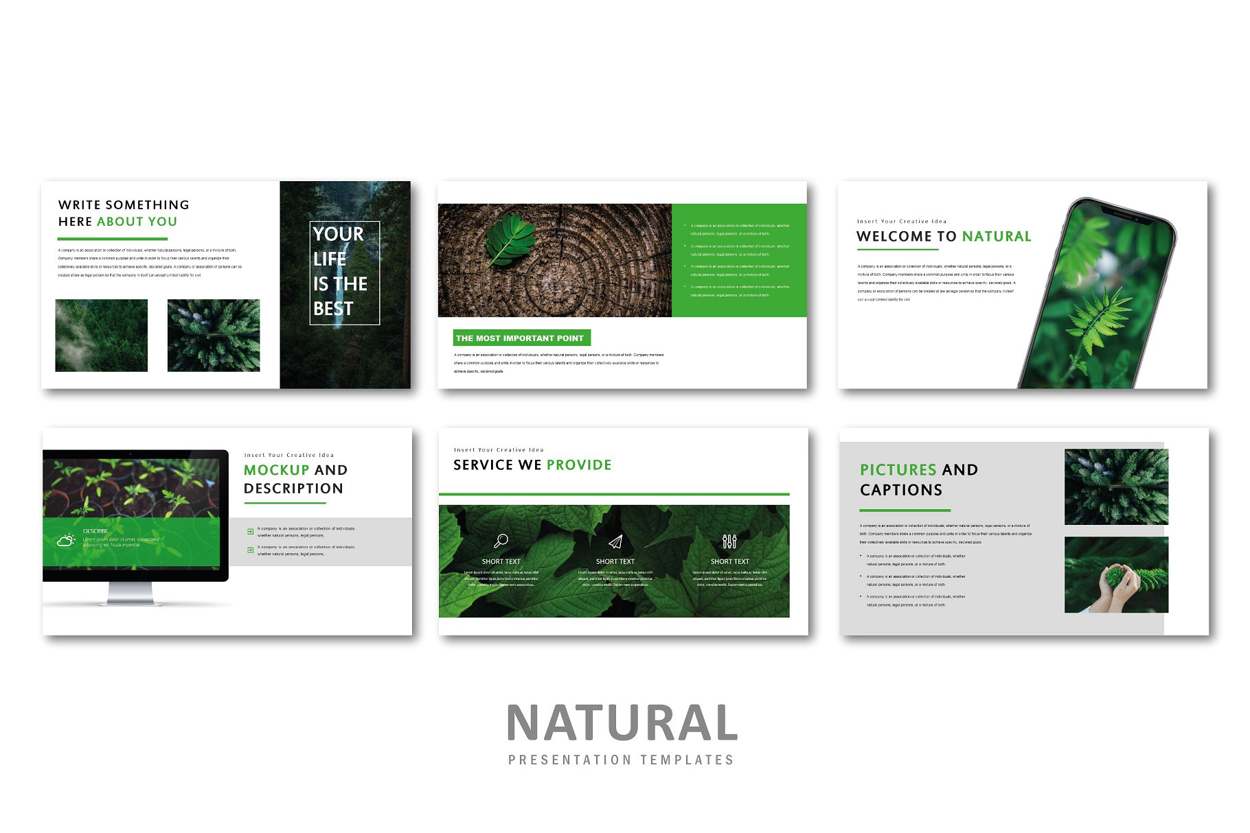绿色自然创意现代风格PPT模板Natural Creativ