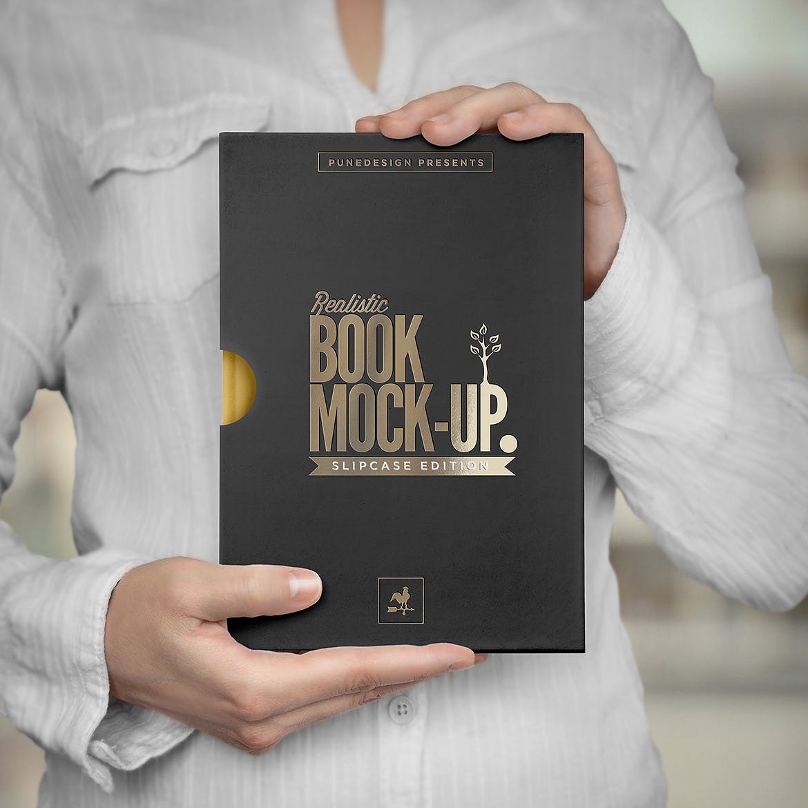 高品质的时尚高端精装书籍 book-mock-up-slip