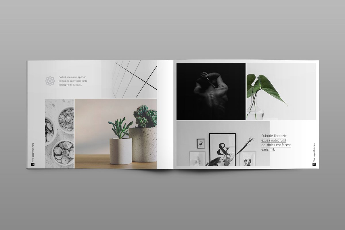 植物盘栽组合手册景观画册 Portfolio Brochur