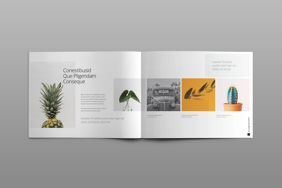 植物盘栽组合手册景观画册 Portfolio Brochur