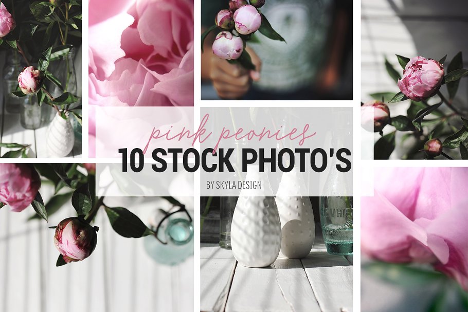 花卉照片图库 Styled stock photos, Pi