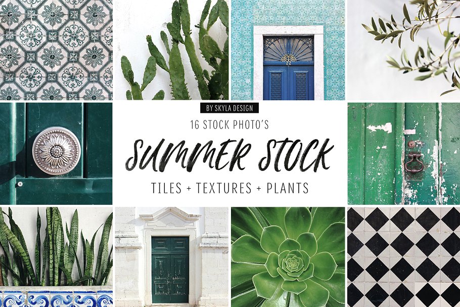 绿植相框样机素材合集 Summer stock, textu