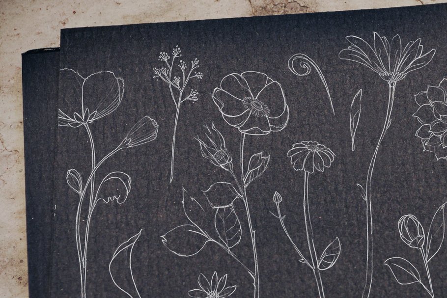黑板花卉笔刷 Chalkboard Flowers &