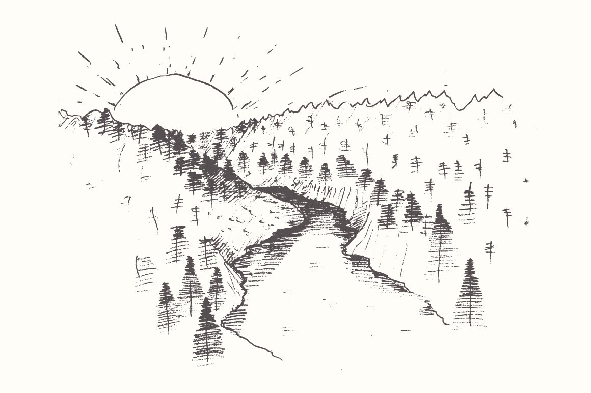 日出时的冷杉林插画 Fir forest at the su