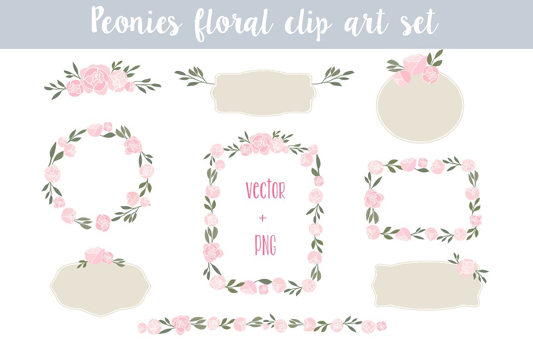 月季插画素材 Peonies Floral clip art