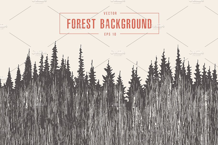 松林素描插画 Pine forest background