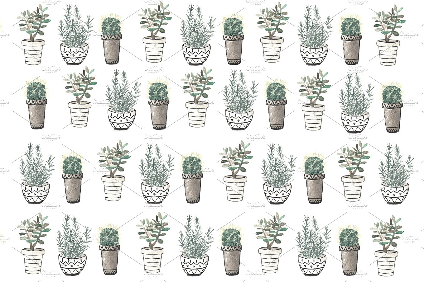 绿植素材插画 Cactus, rosemary and cr