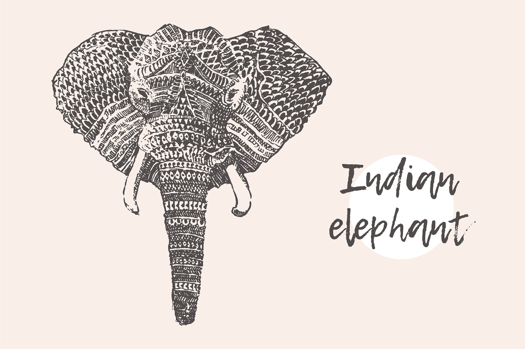 复古手绘大象设计素材Indian elephant