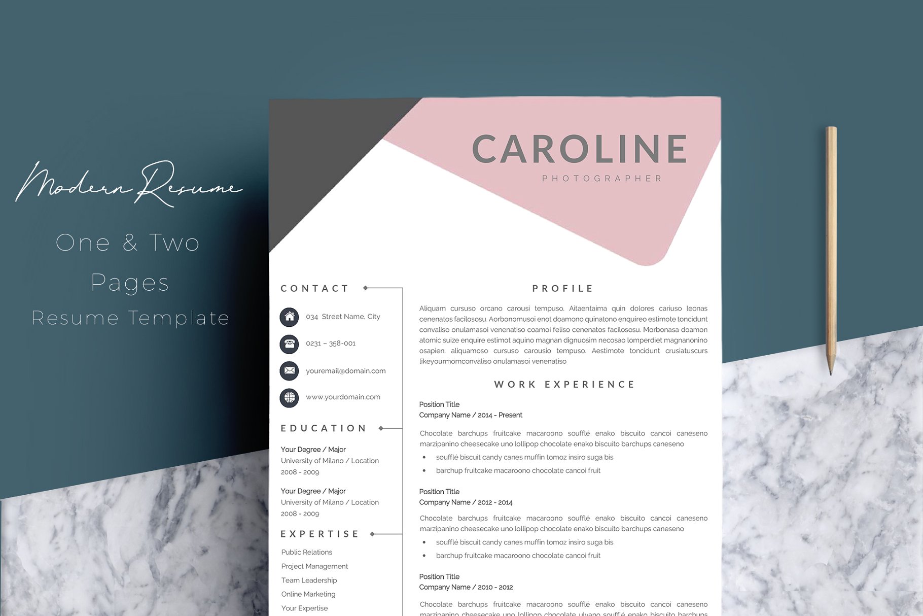 个人简历模板 Résumé Templates  CV Te