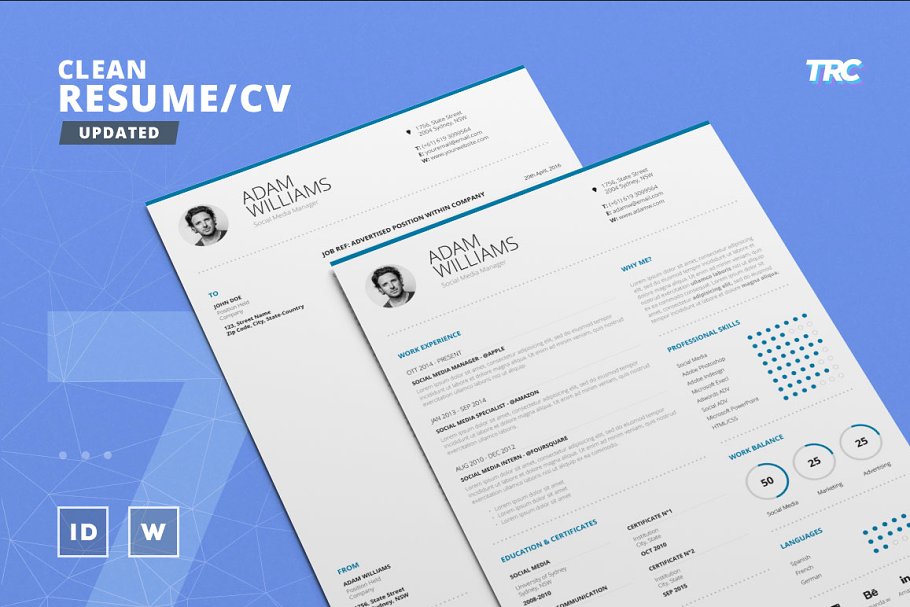 干净的简历模板 Clean ResumeCv Templat