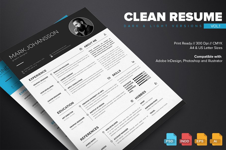干净简历模板 Clean Resume Template V